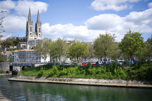 Lutte contre les nuisibles Niort